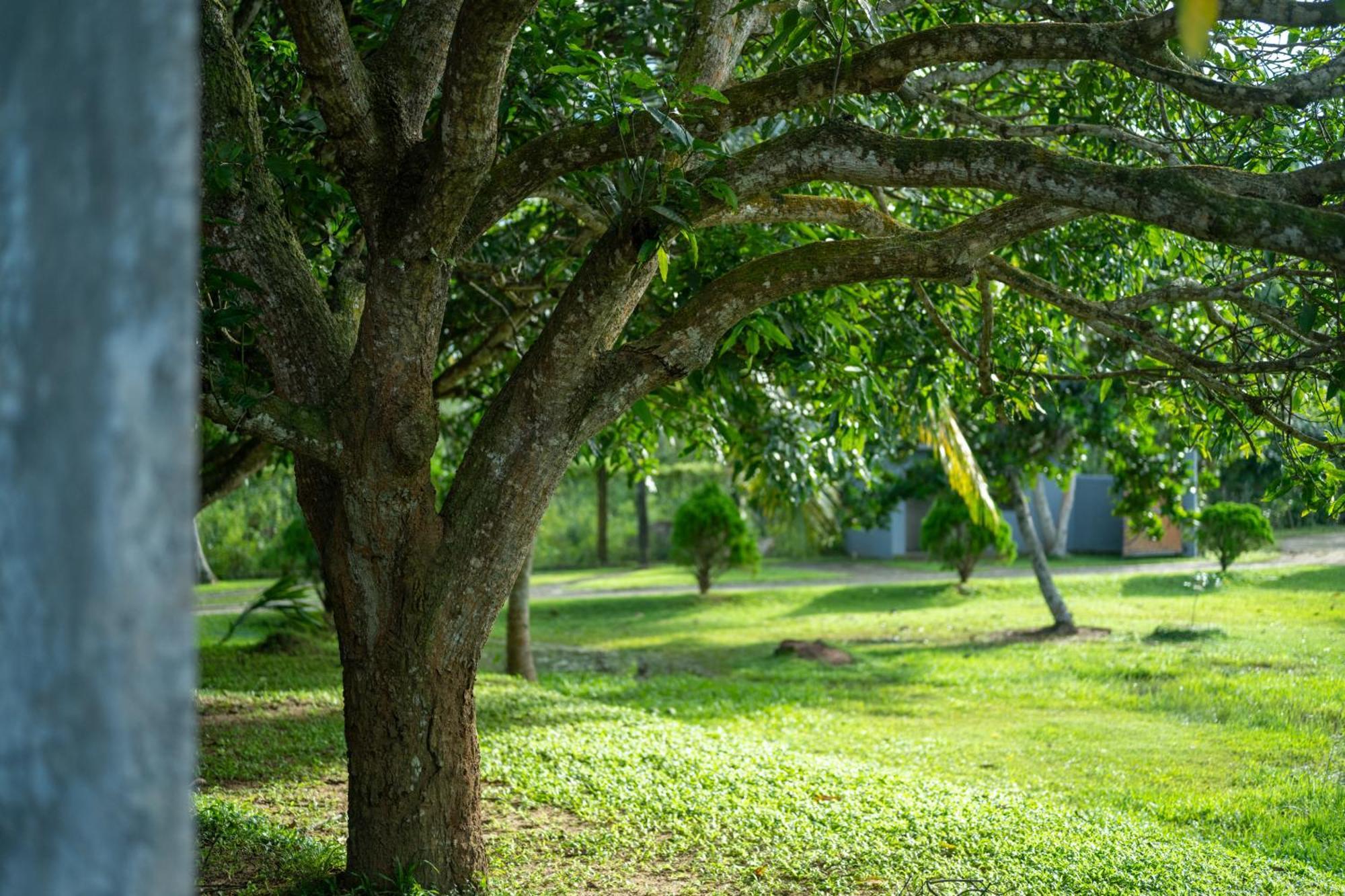 Wirdana Resort & Spa Bussa Dış mekan fotoğraf